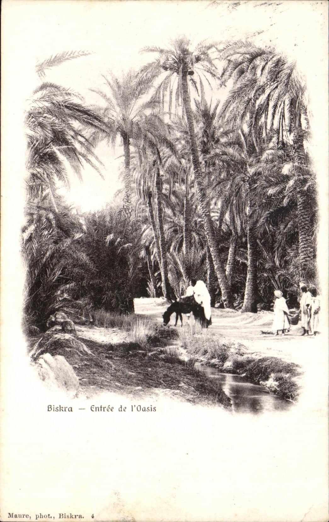 CPA Biskra Entree de I Oasis Ane Donkey