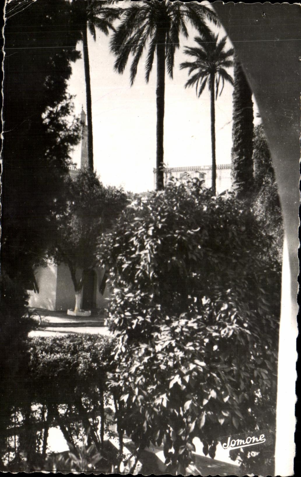 CPA Laghouat Jardins de la Commune mixte