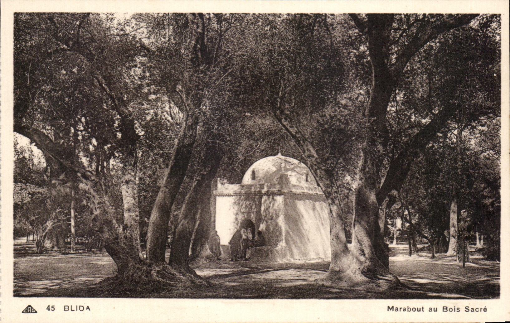 CPA Blida Marabout au Bols Sacre