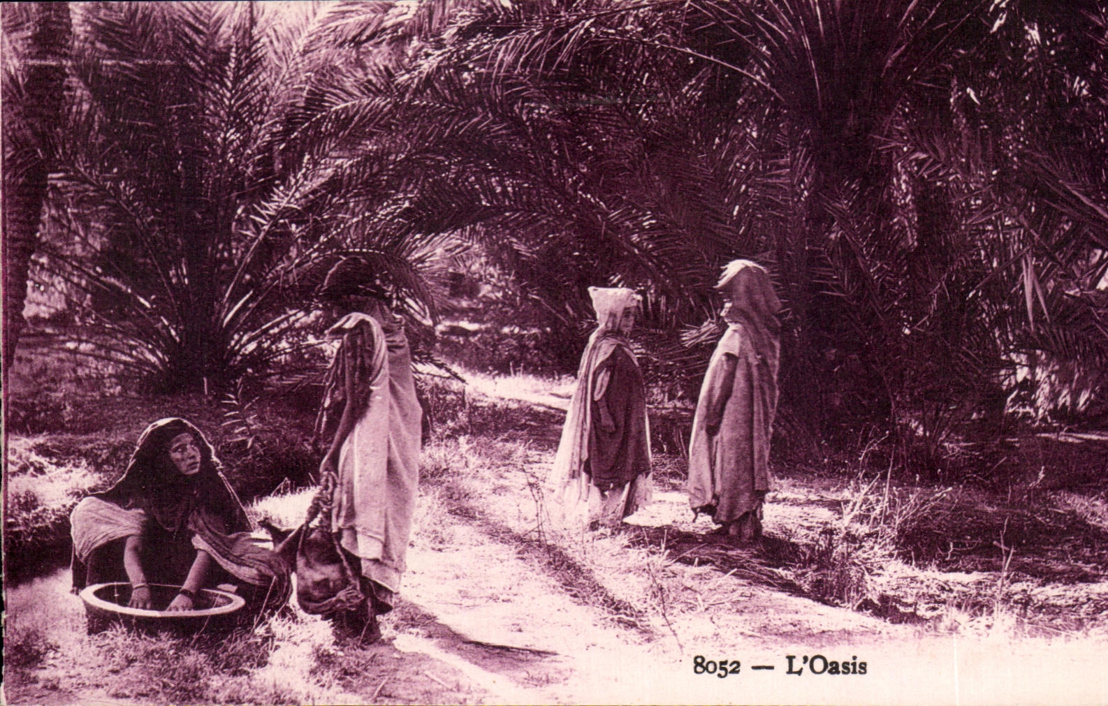 Oasis Argelia de CPA