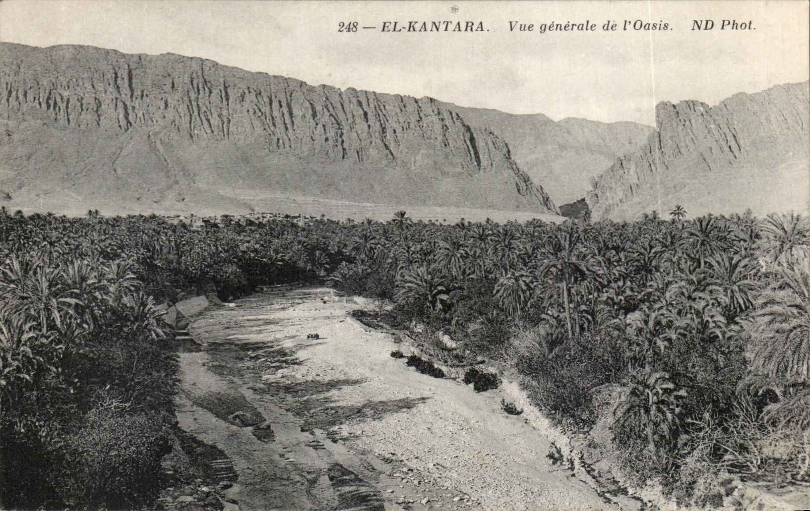 CPA El Kantara Vue generale de I Oasis