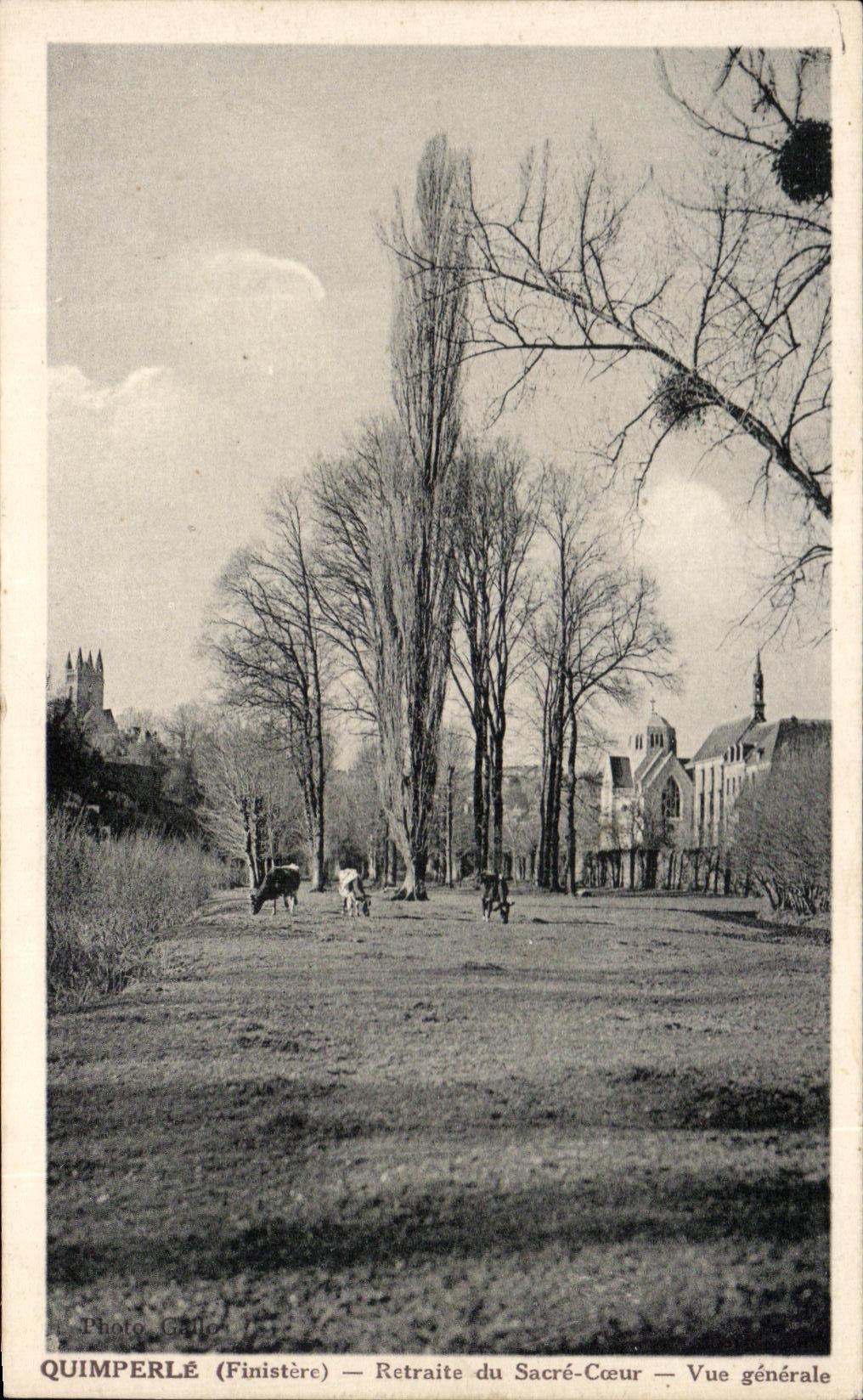 CPA Quimperle Reprocesses Sacring Heart View Cows