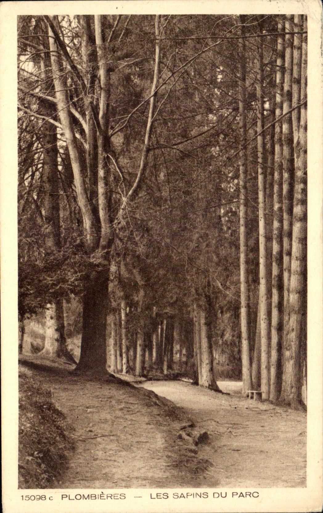 CPA Plombieres Les Sapins Du Parc