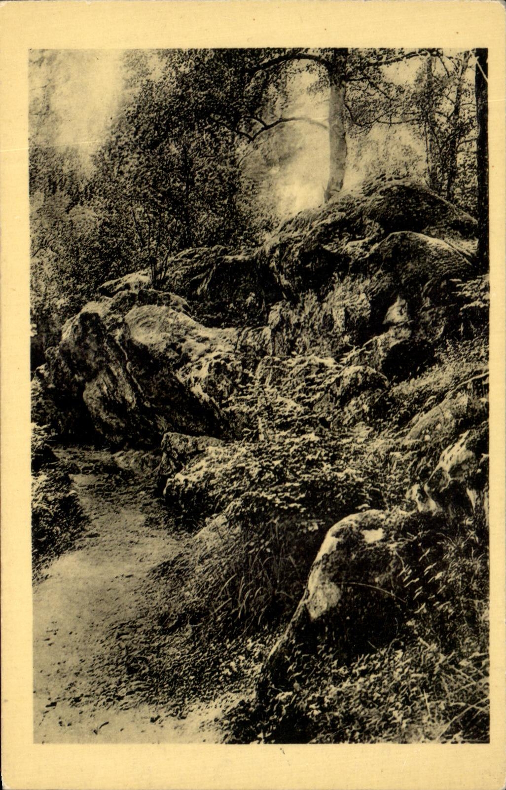CPA Foret De Fontainebleau La Roche Eponge