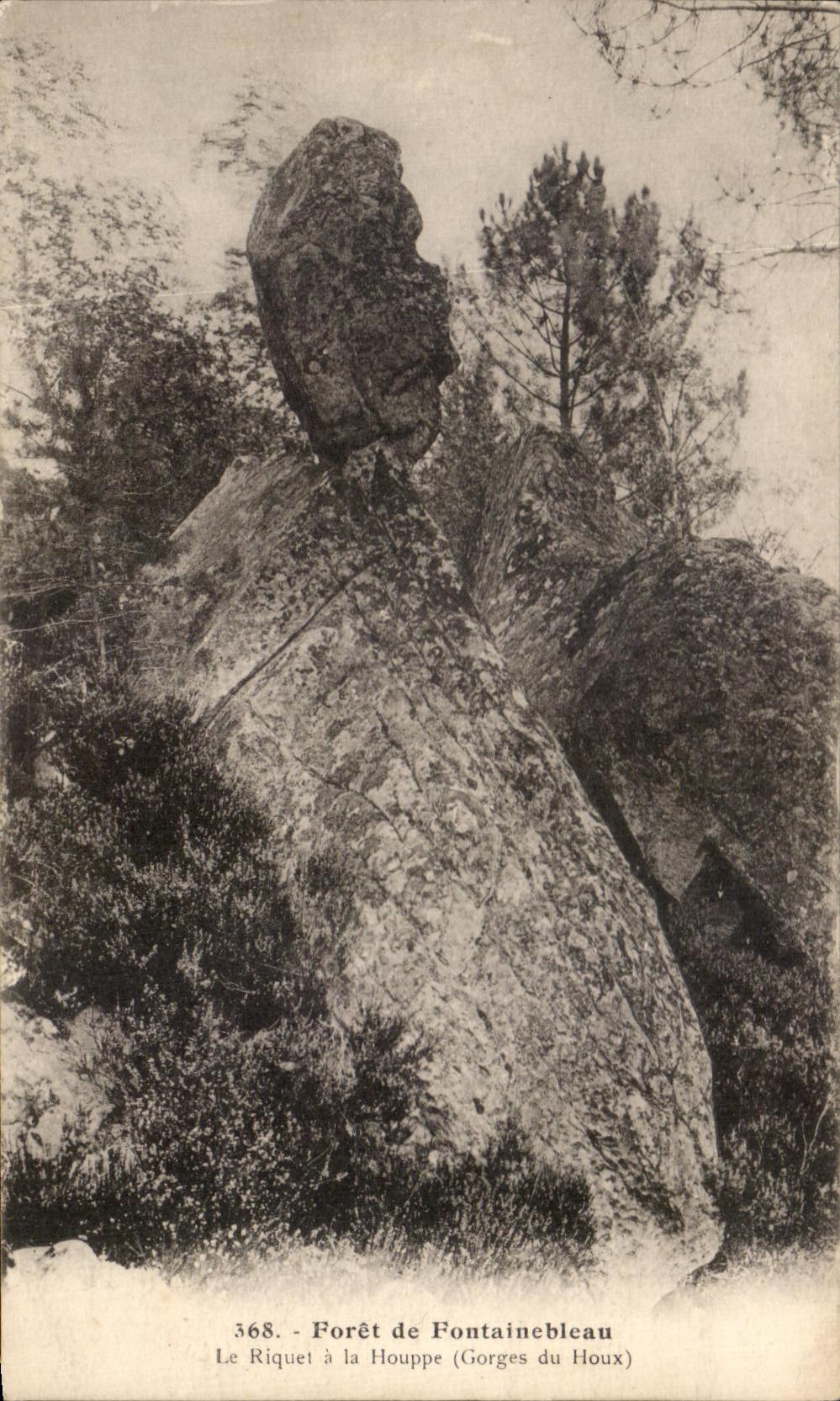 CPA Foret de Fontainebleau Le riquet a la Houppe Gorges du Houx