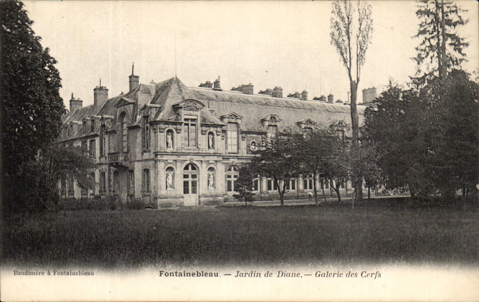 CPA Fontainebleau Jardin de Diane Galerie des Cerfs
