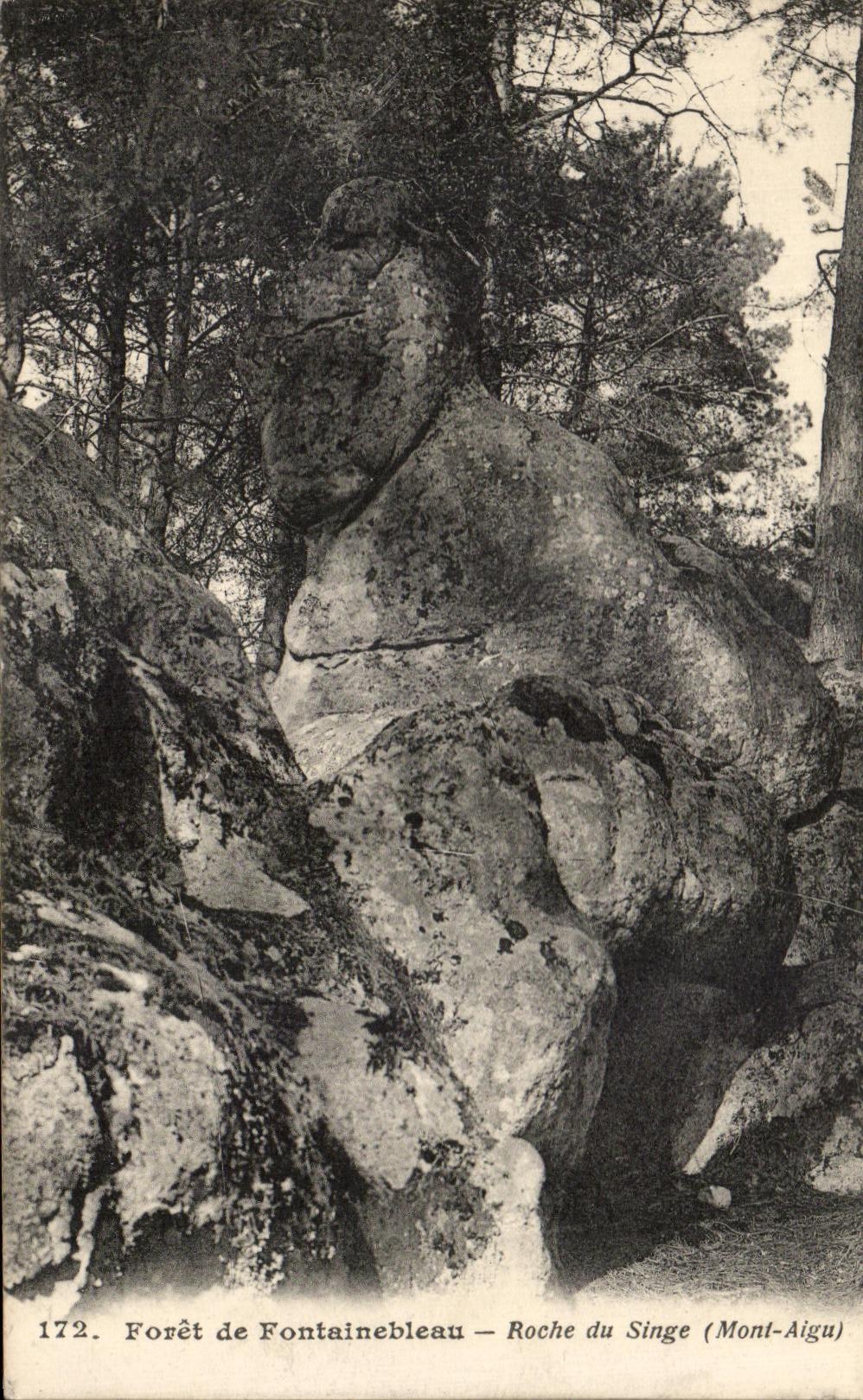 CPA Foret de Fontainebleau Roche du Singe Monkey Mont Aigu