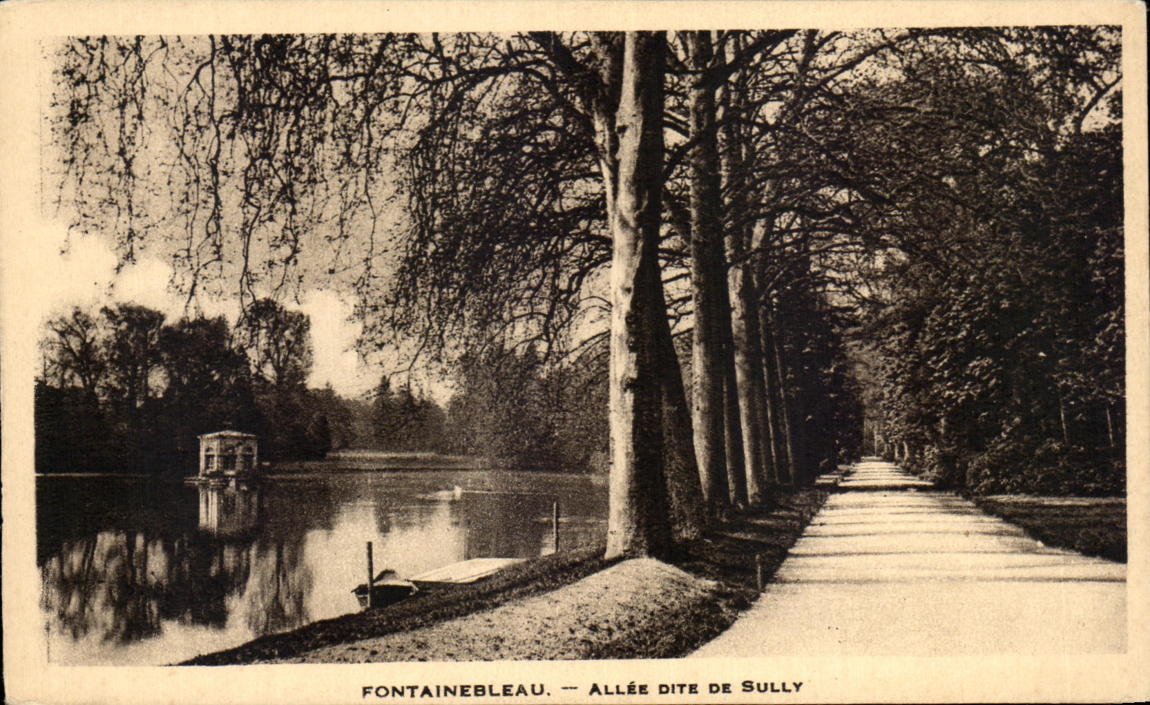 CPA Fontainebleau Allee Dite De Sully