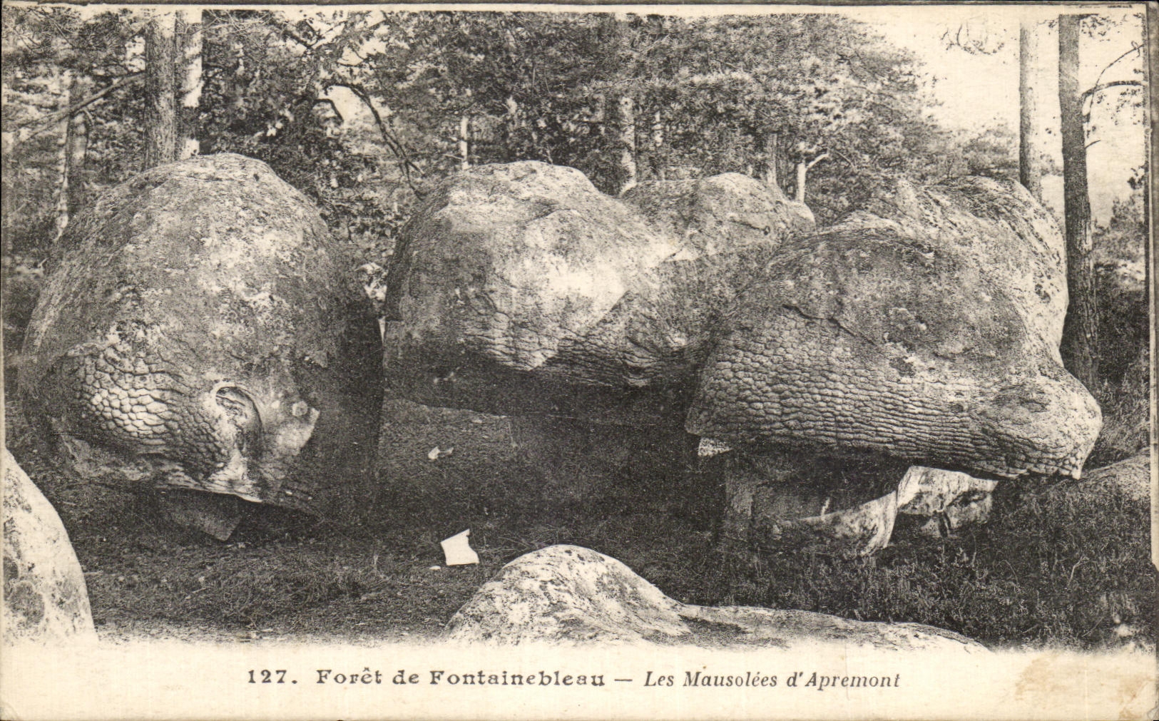 CPA Foret de Fontainebleau les Mausolees d Apremont