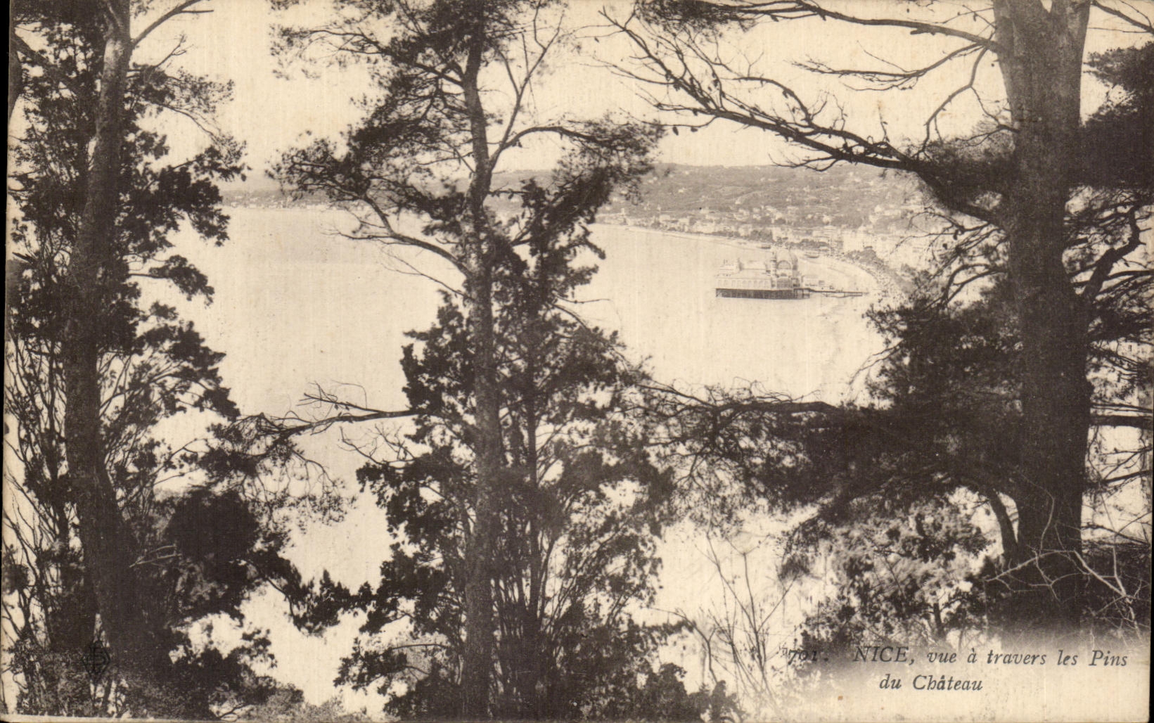 Niza de CPA vista a traves los pinos del castillo