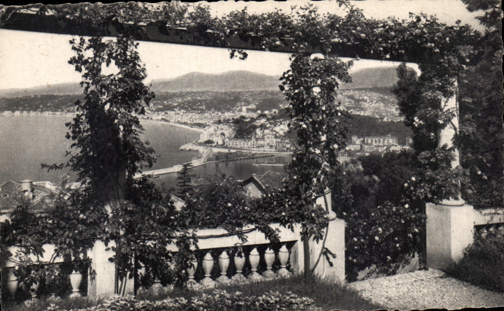 Niza de CPA vista entre de las pergolas florecidas