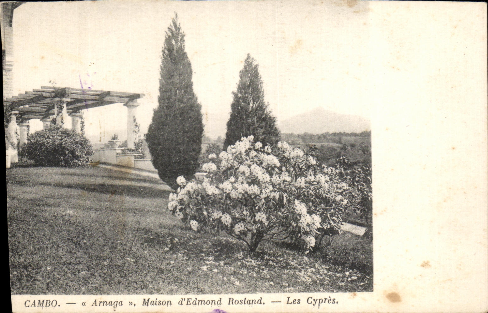 CPA Cambo Arnaga House Edmond Rosland Cypresses