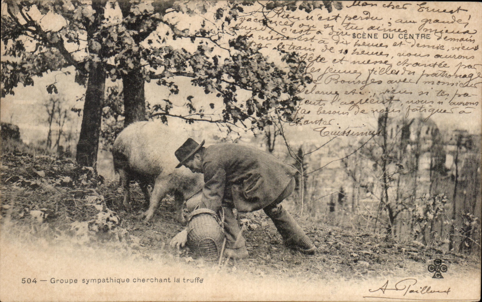 CPA Scene Du Centre Groupe Sympathique Cherchant la Truffe Cochon Pig