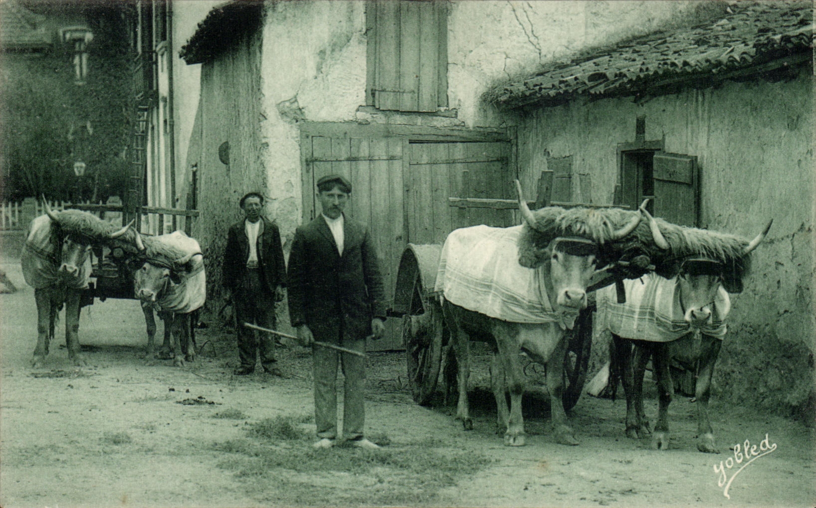 CPA Basque Country Coach of Oxen