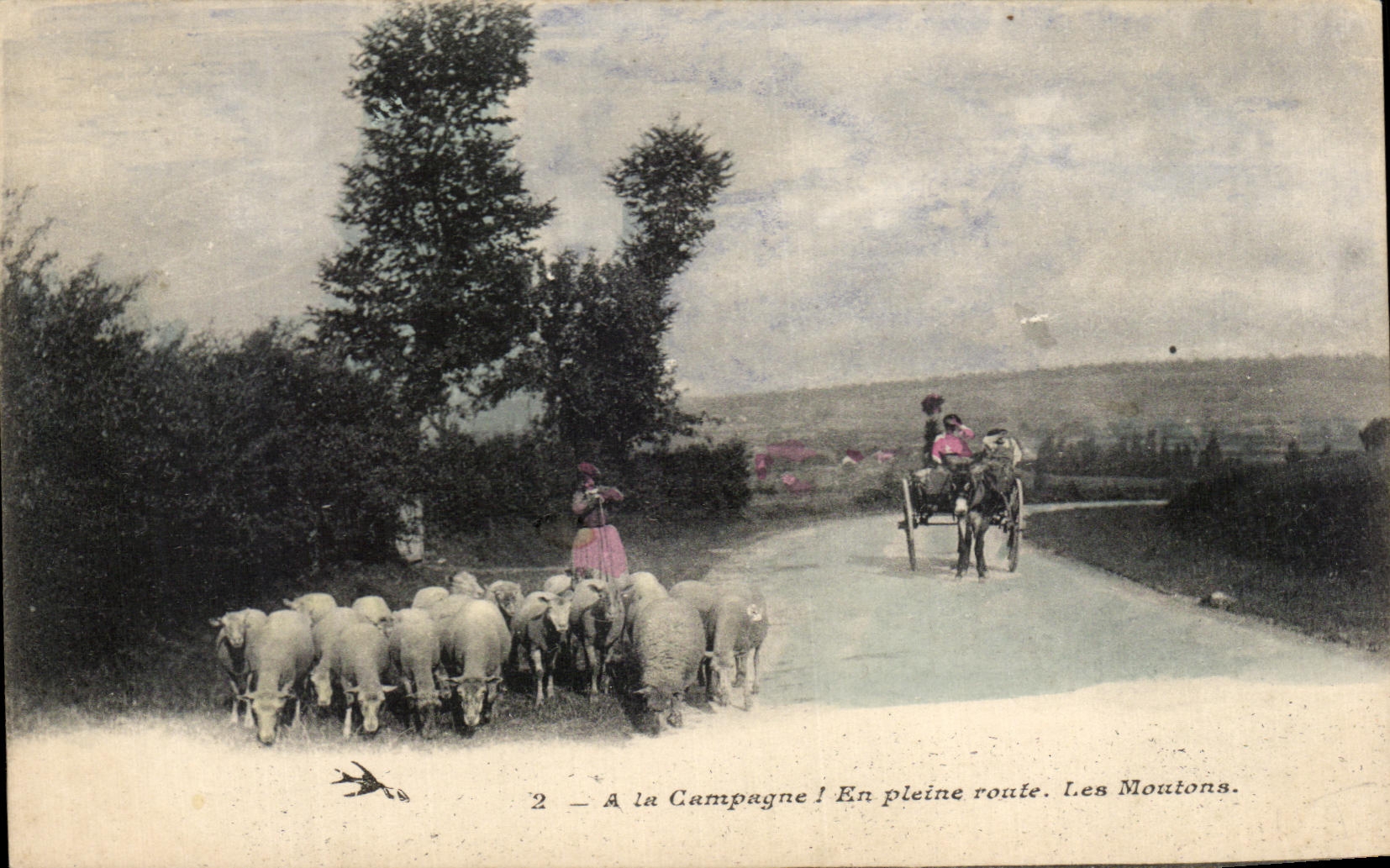 CPA A la Campagne l En Pleine route Les Moutons Ane donkey moutons
