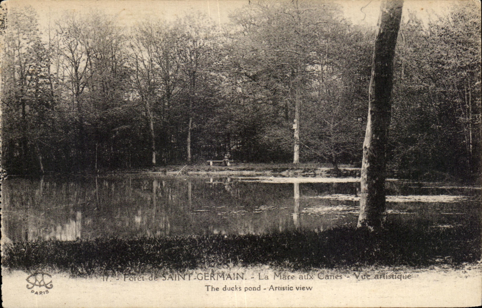 CPA Foret de Saint Germain La Mare aux Canes Vue artistique The ducks pond Artistic view