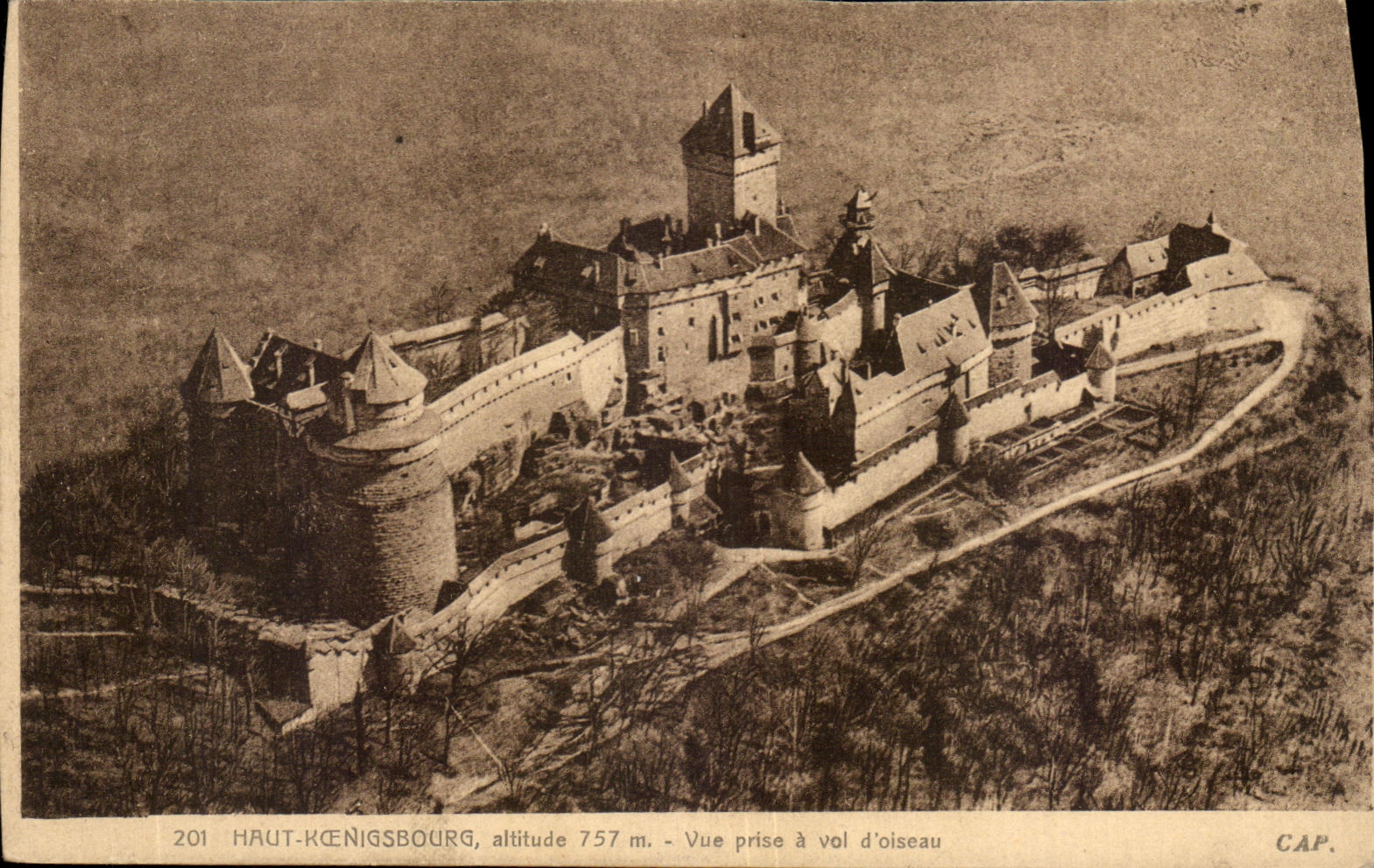 CPA High Koenigsbourg Seen from has flight bird