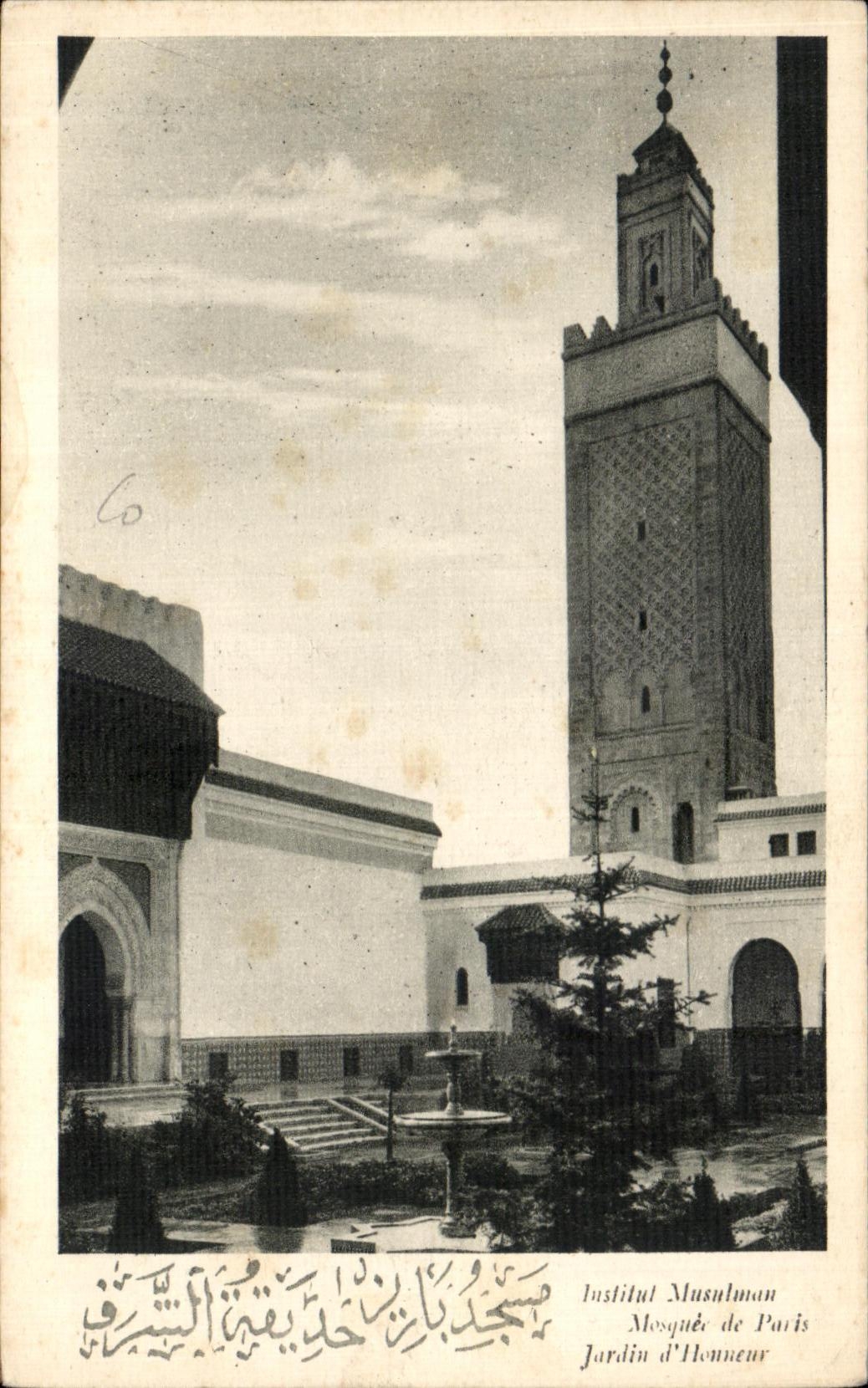 CPA Paris Moslem institute Mosee of Paris Garden honor