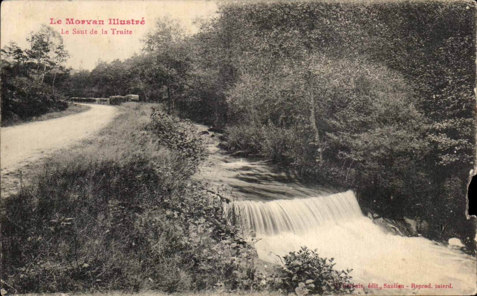 CPA Morvan Illustrates the Jump of Trout