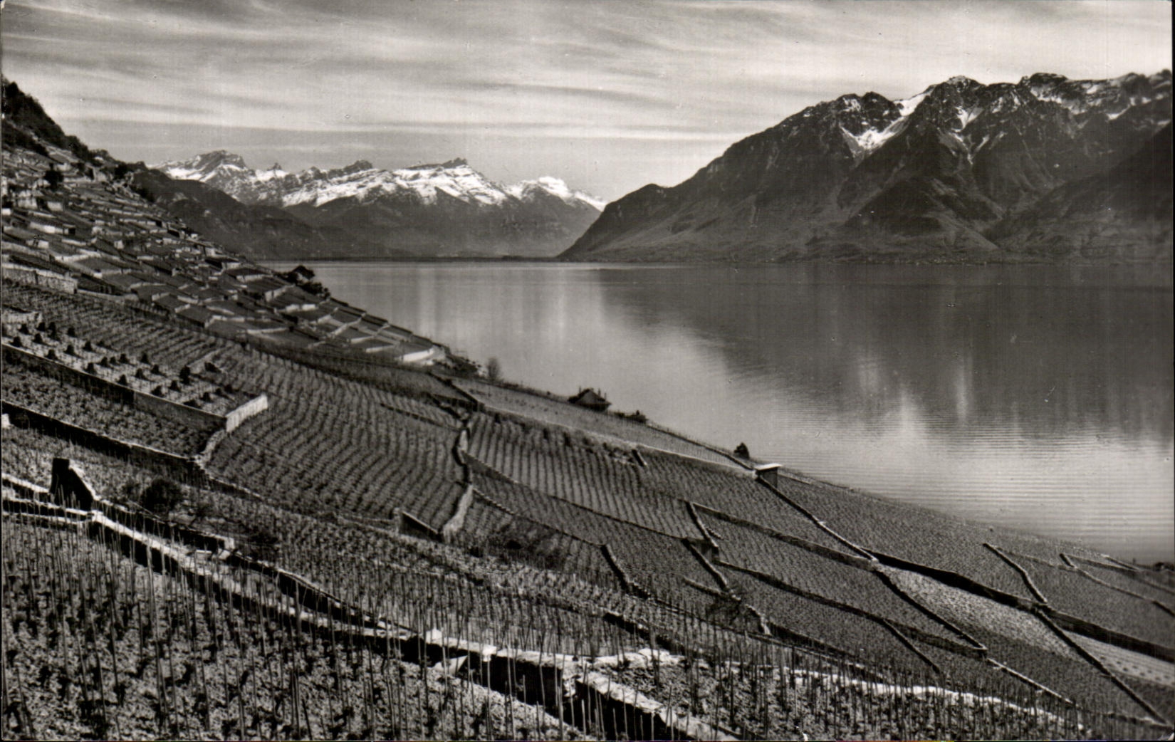 CPA Le Coteau de Lavaux