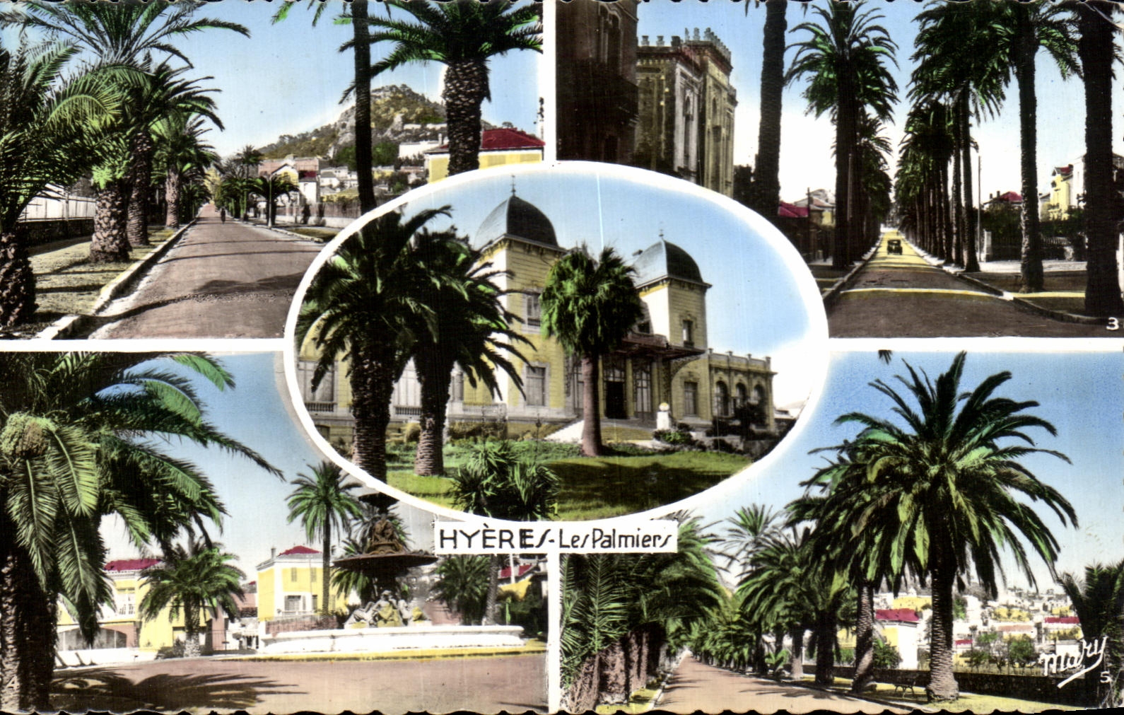 Palmeras de CPA Hyere