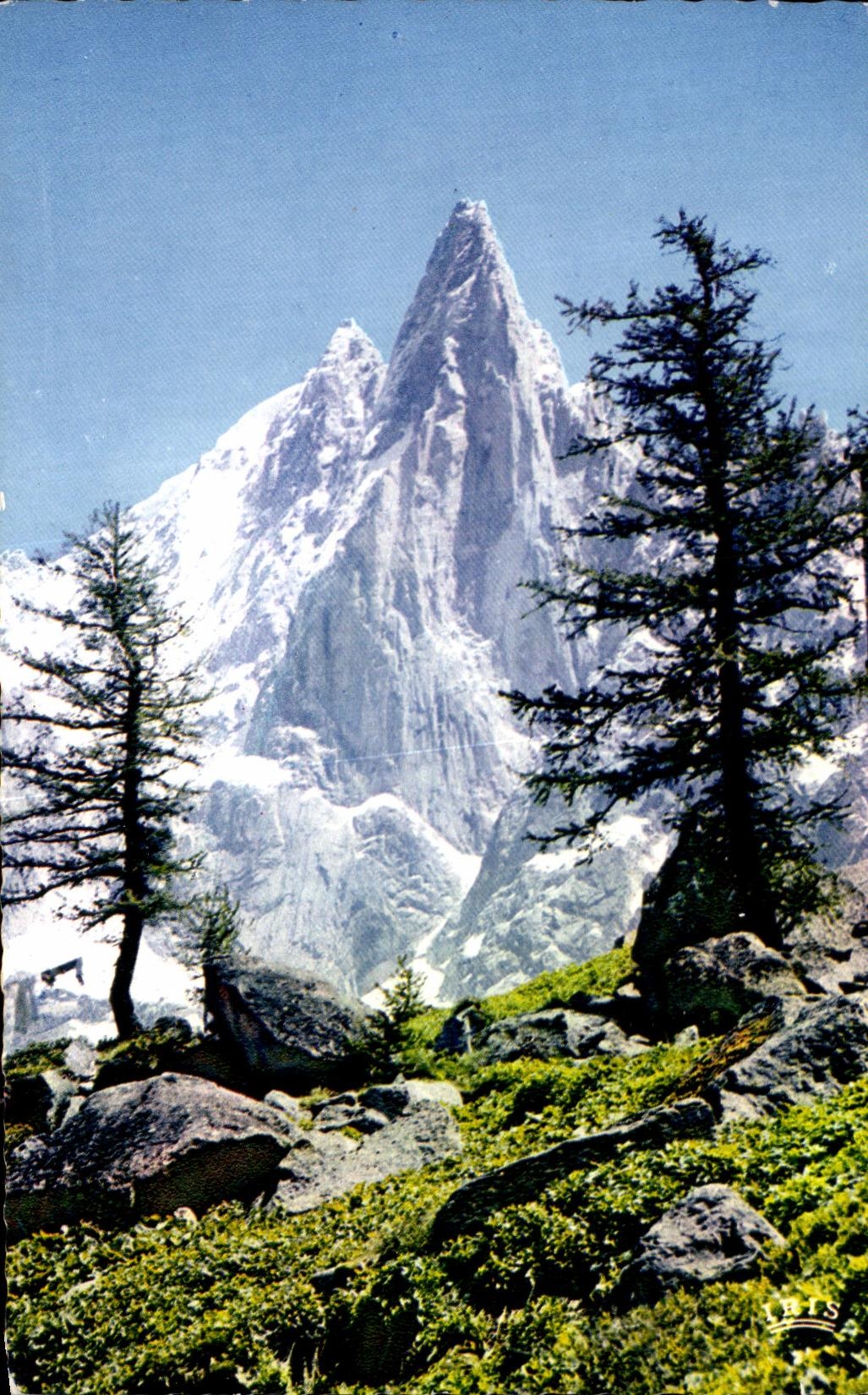 CPA Chamonix Mont Blanc the Thick ones and Agguils