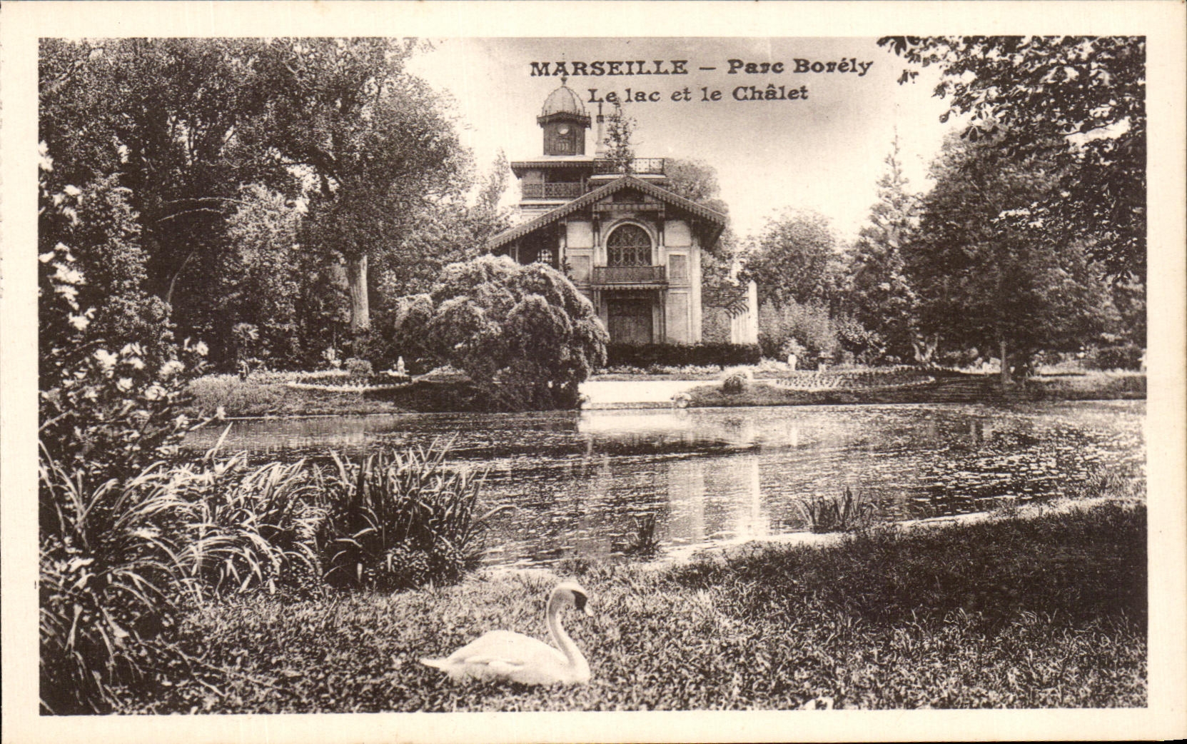 CPA Marseille Parc Borely Le lac et le Chalet Cygne Swan