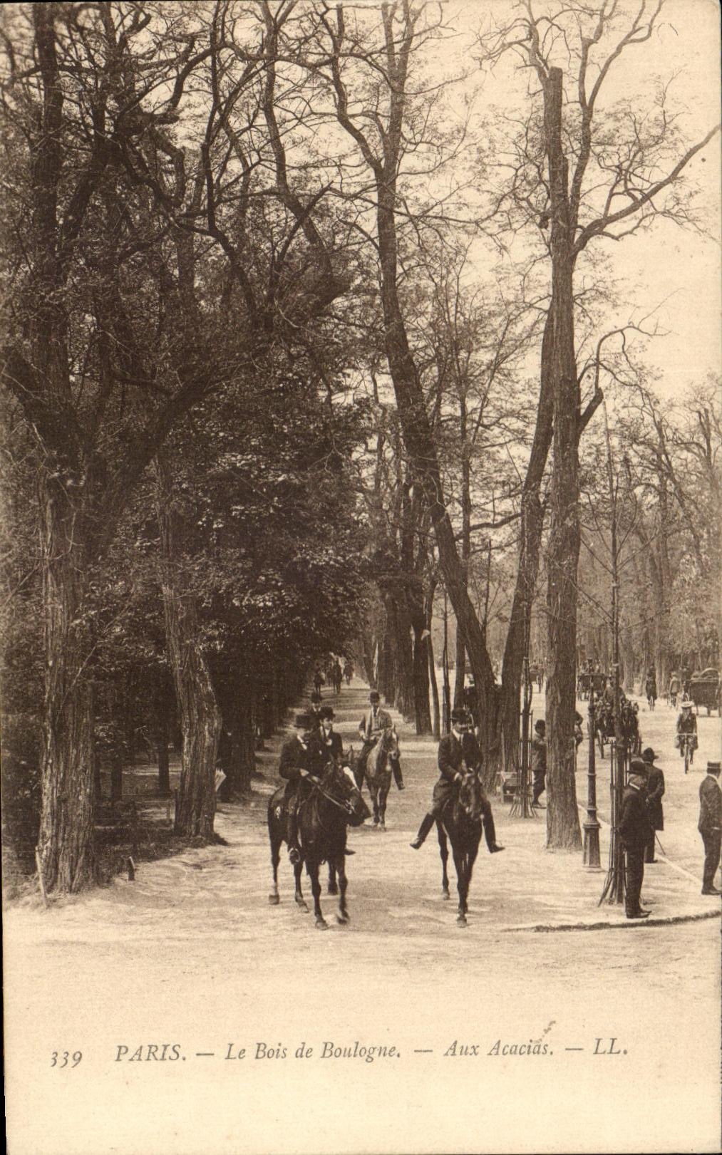 CPA Paris the Bois de Boulogne With the Acacias Horse Horse
