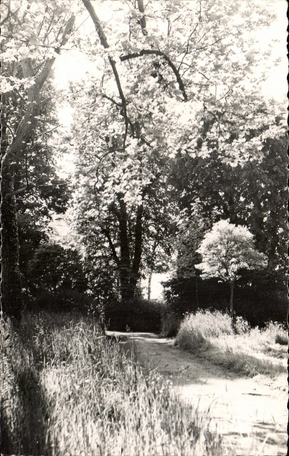 CPA Betharram the Park