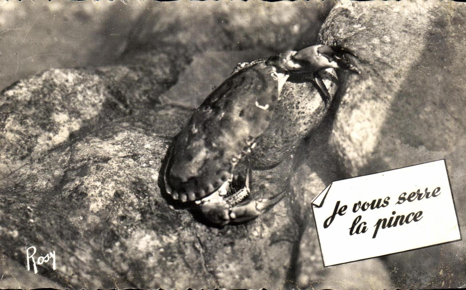 CPA En Vacances Je vous serre la pinceCrabe
