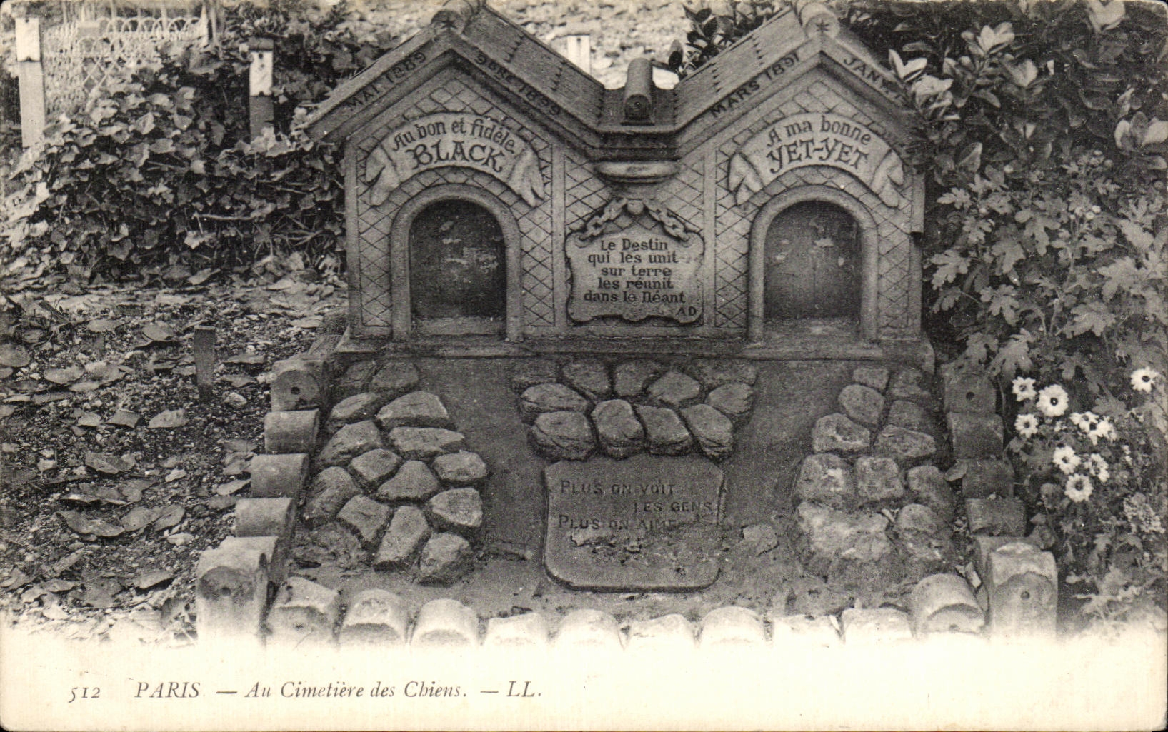 CPA Paris Au Cimetiere des Chiens Black Yet Yet