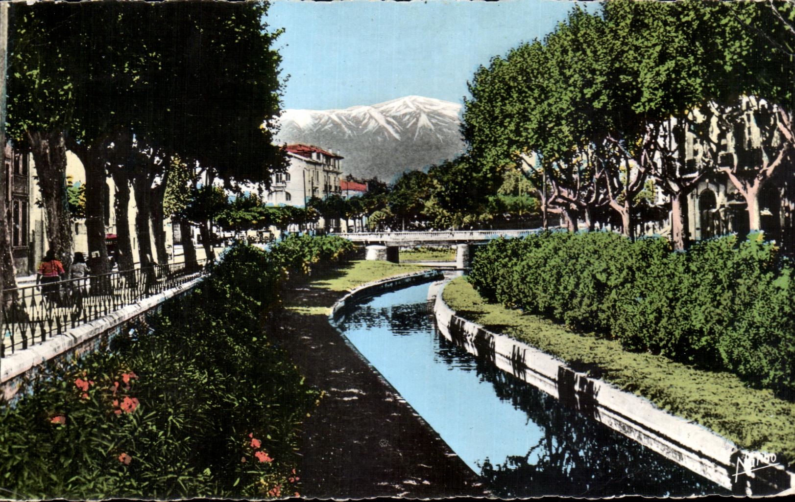 CPSM Perpignan Les Quais Fleuris de la Basse et au fond le Canigou