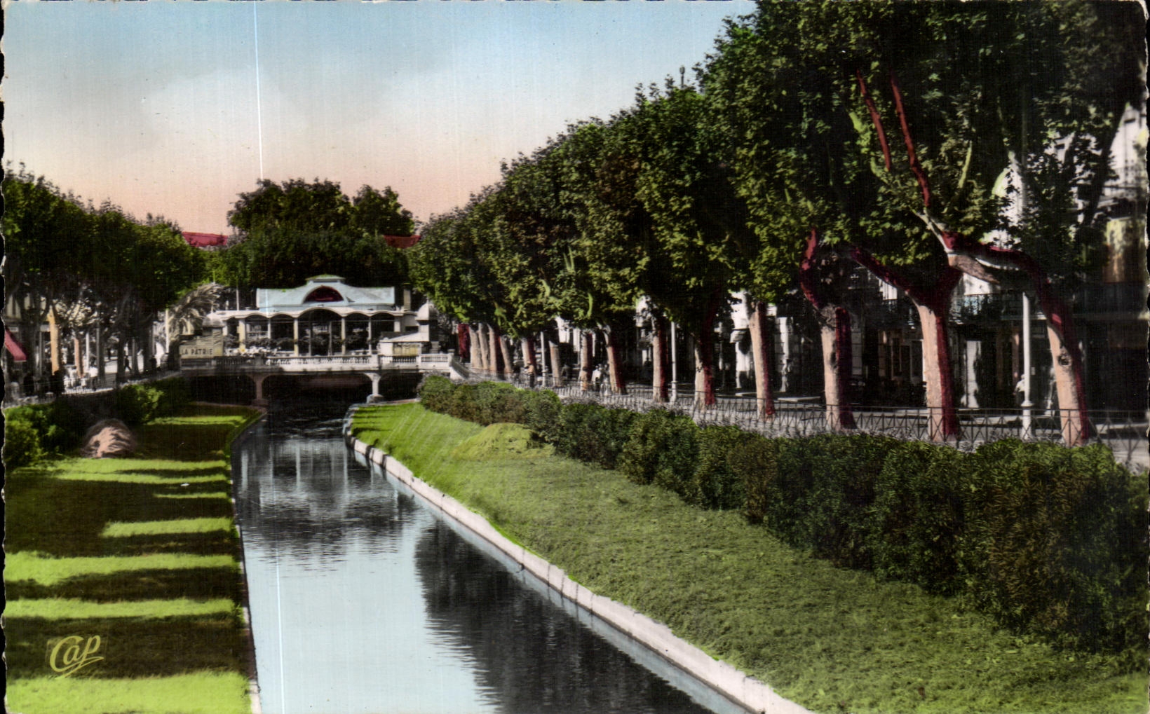 CPSM Perpignan Les Quais vers le Palmarium