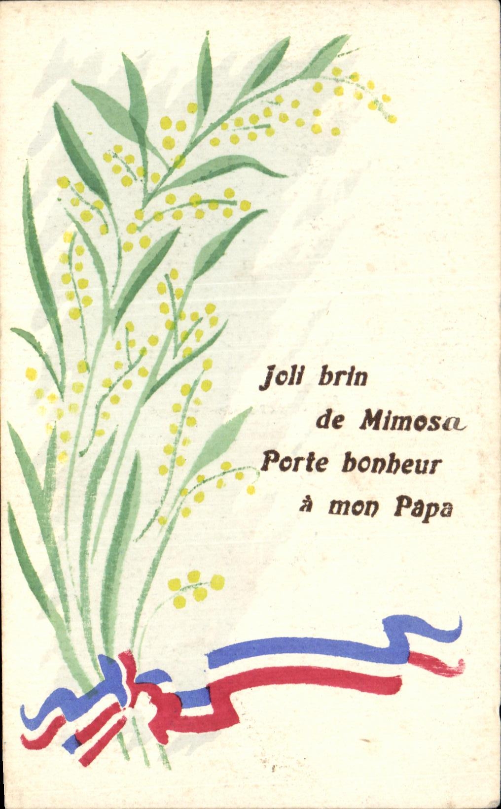 CPA Joll brin de Mimosa Porte bonheur a mon Papa