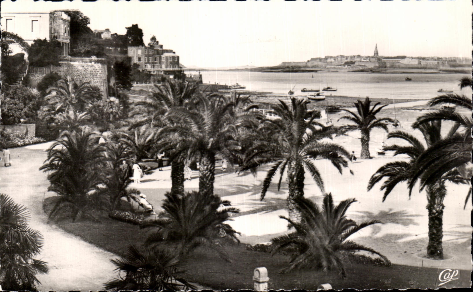 CPA Dinard La Palmeraie Au fond Saint Malo