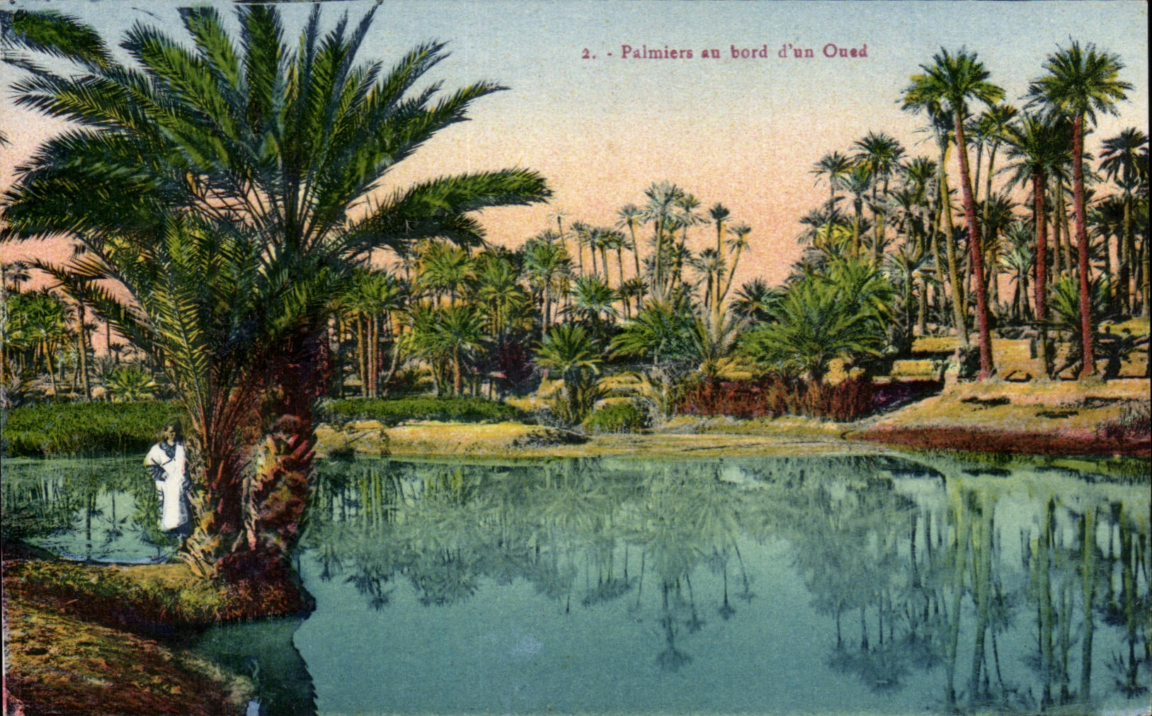 CPA Palmiers au bord d un Ouad