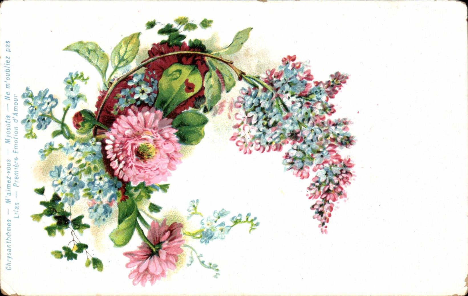 CPA Fantaisie Fleurs Chrysanthemes 