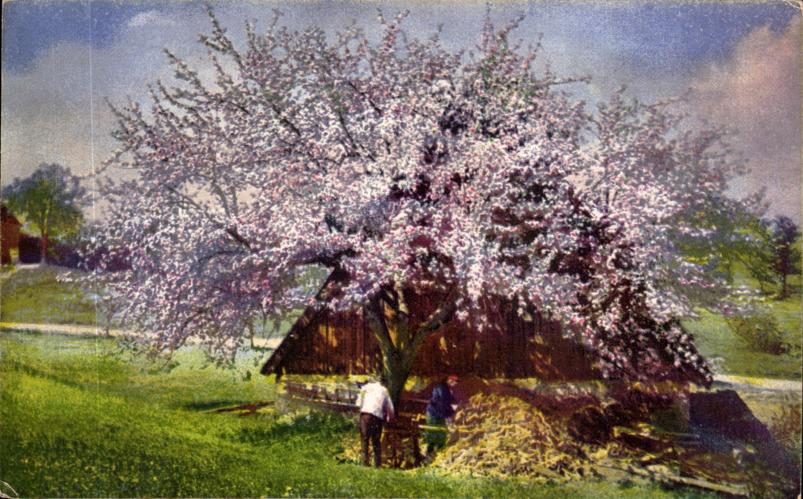 CPA Landscape in Germany