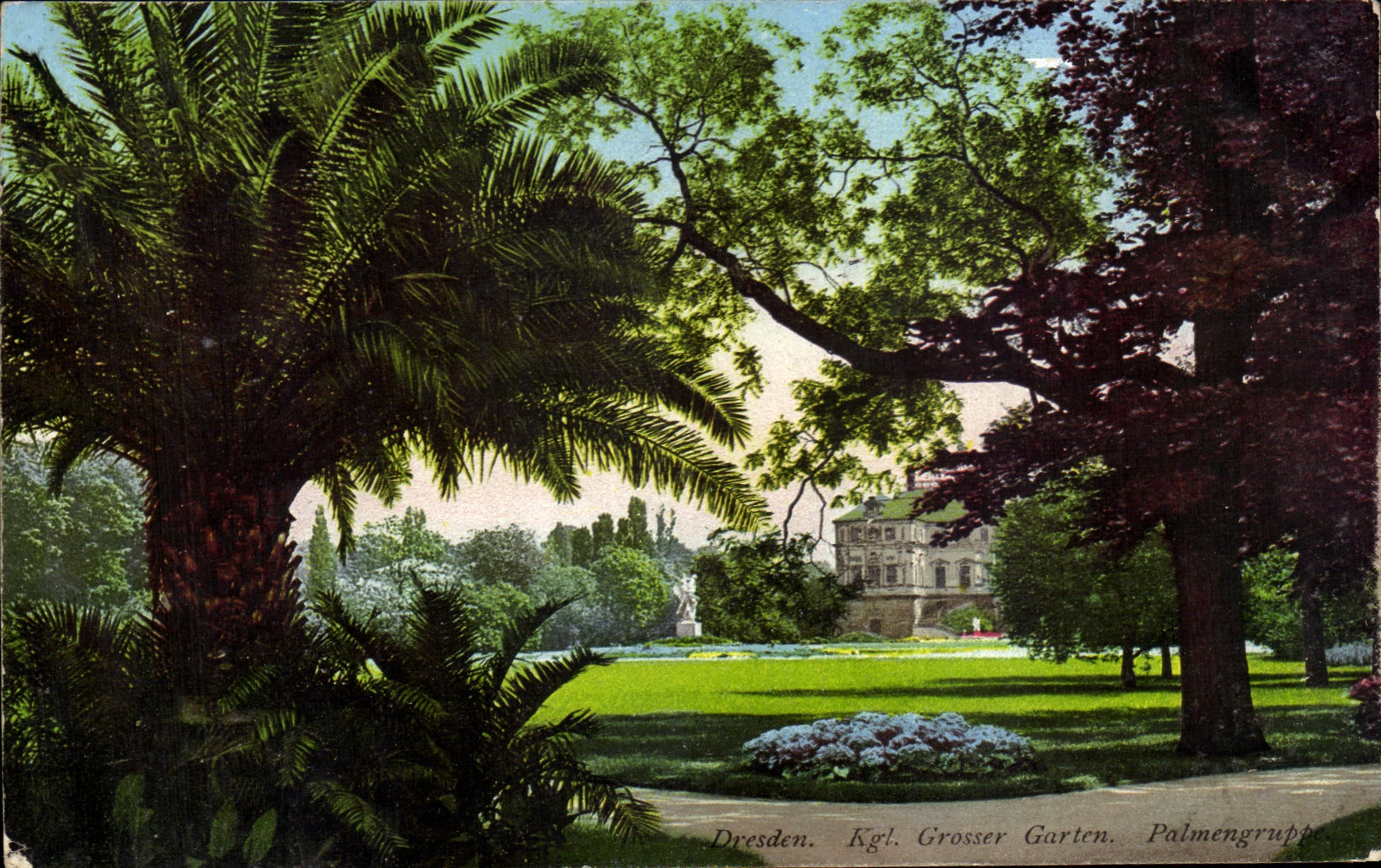 CPA Dresden Kgl Grosser Garten Palmengrup