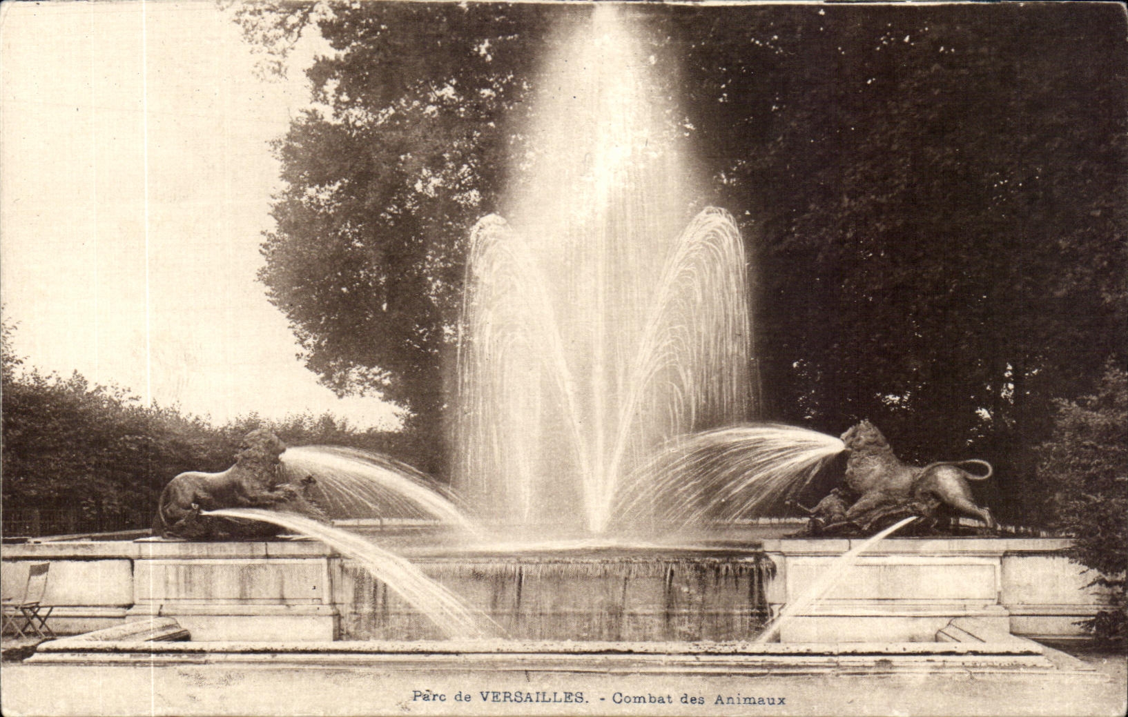 CPA Parc de Versailles Combat des Animaux Lion