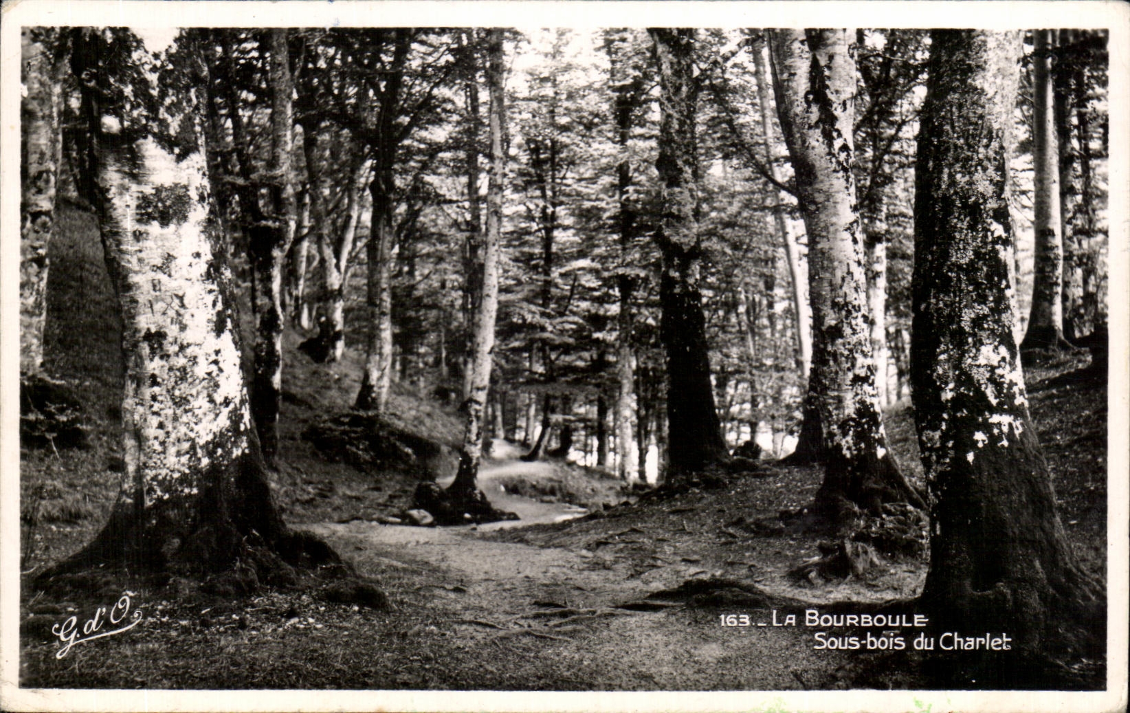 CPA La Bourboule Sous bois du Charlet