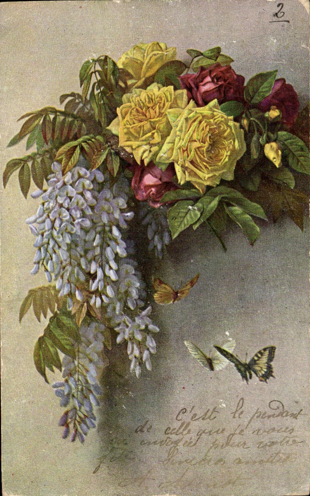 Mariposas de la mariposa de la fantasia de CPA