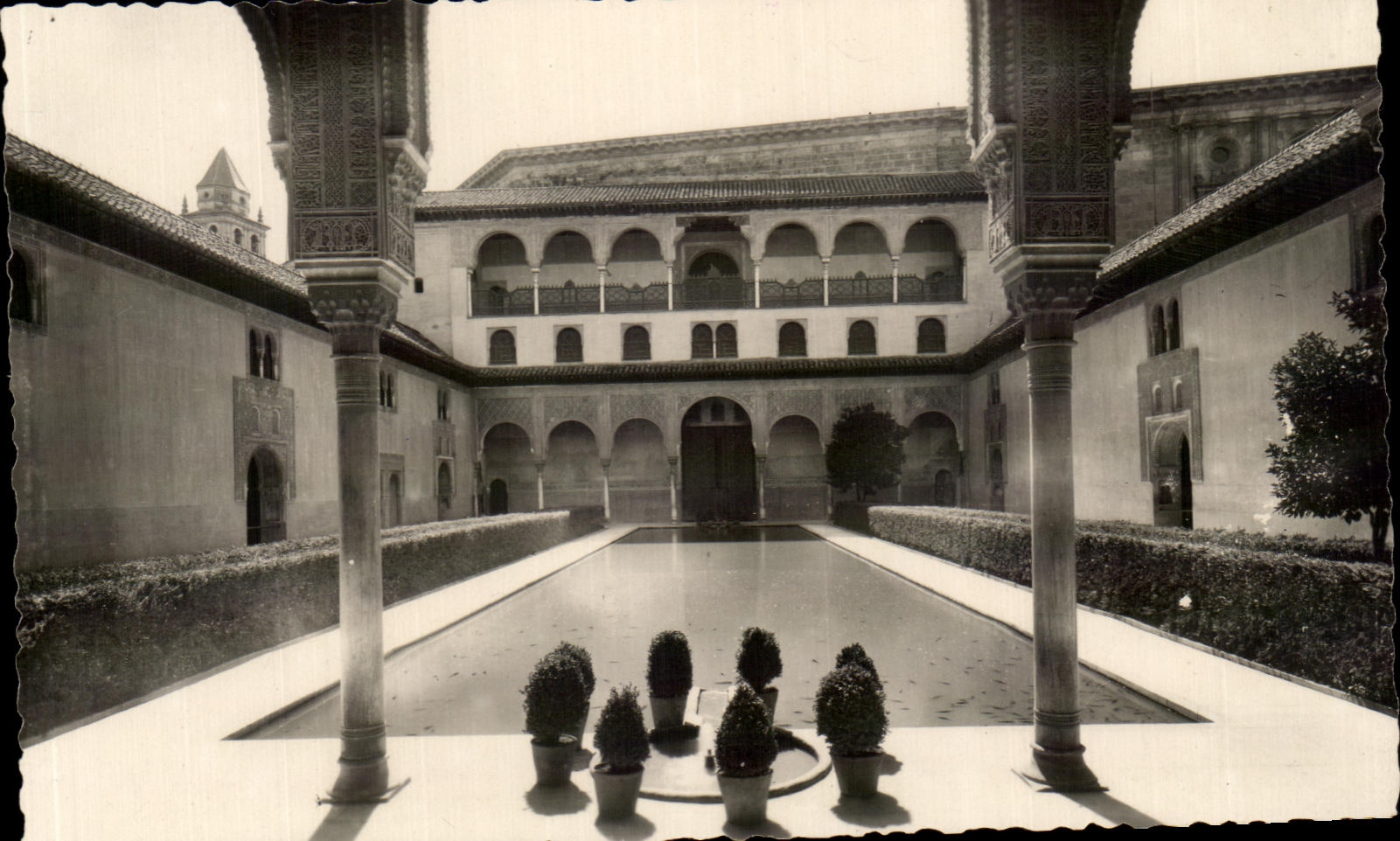 CPA Granada generalife patio de la alberca