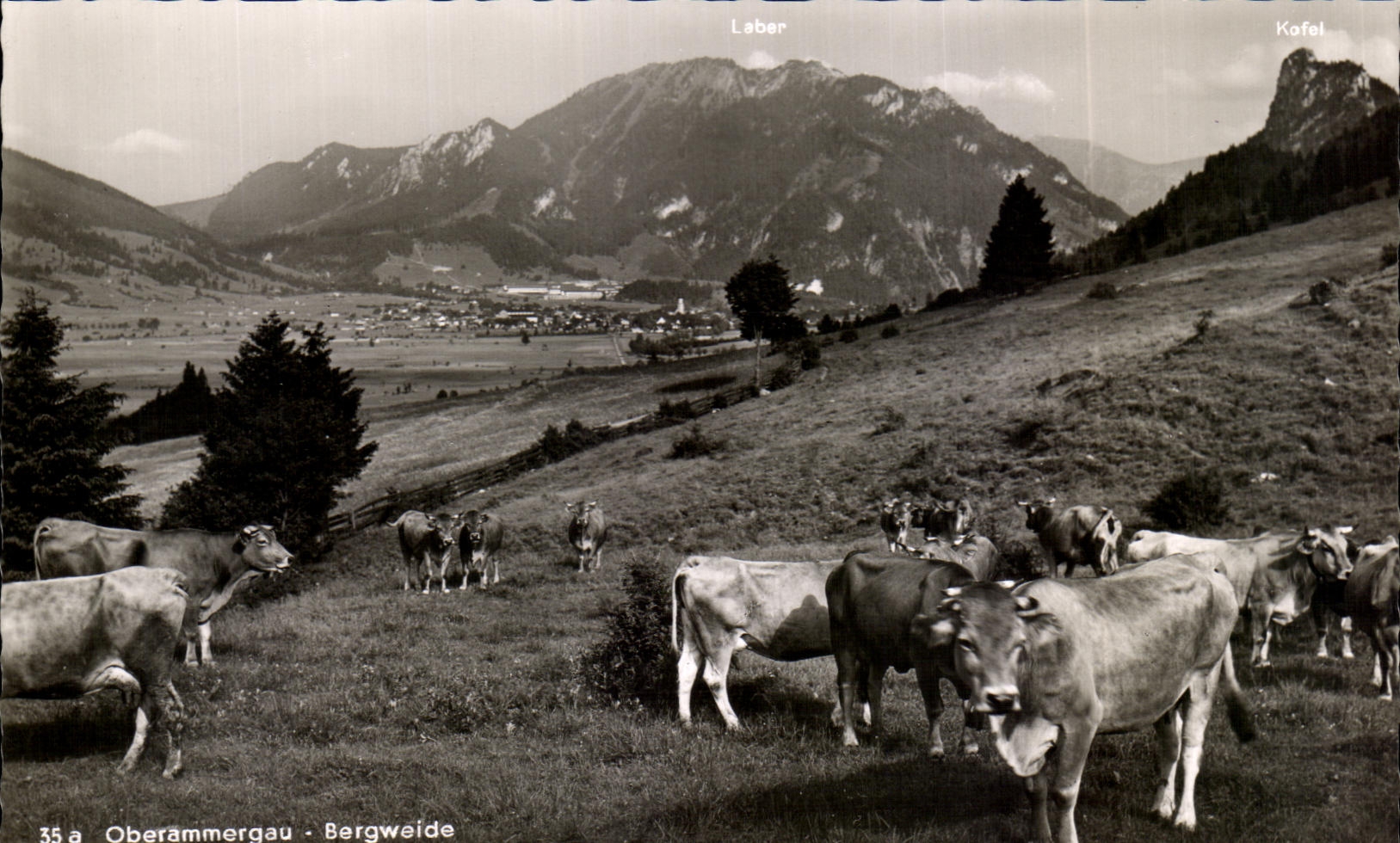 CPA Oberammergau Bergweide
