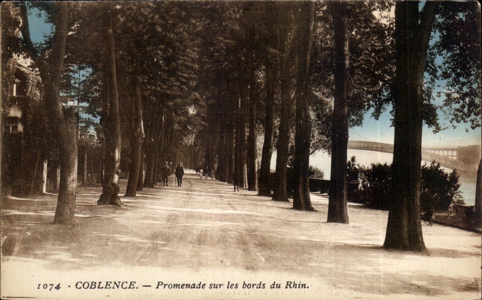 CPA Coblence Promenade sur Les bords du Rhin