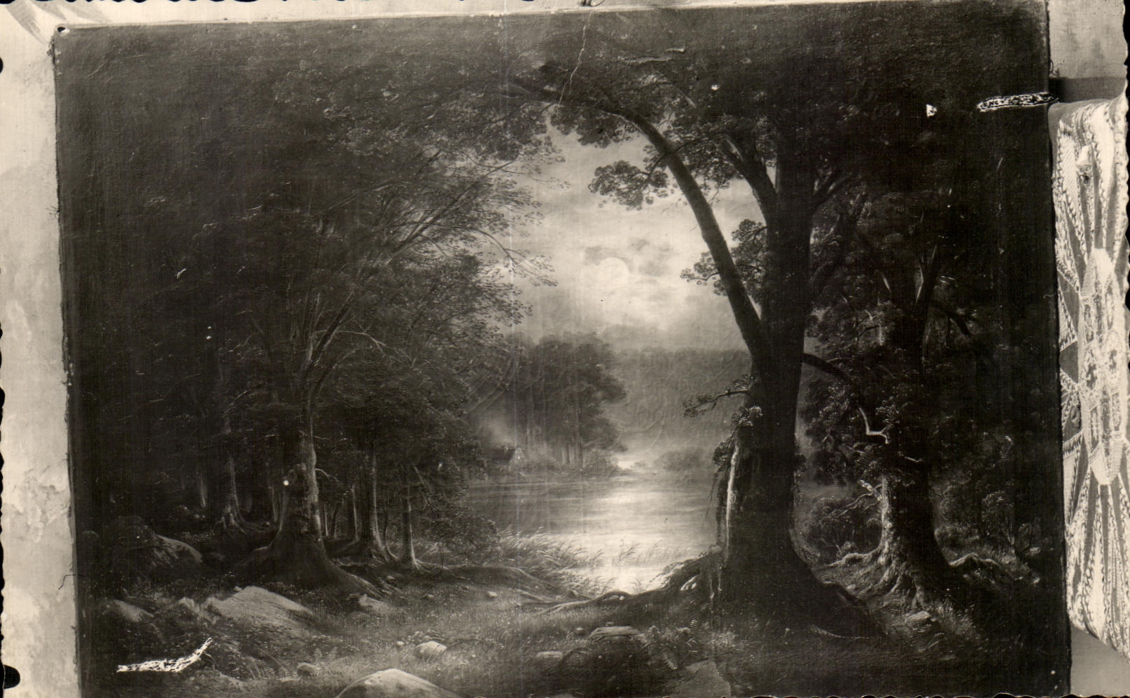 CPSM Paysage de foret