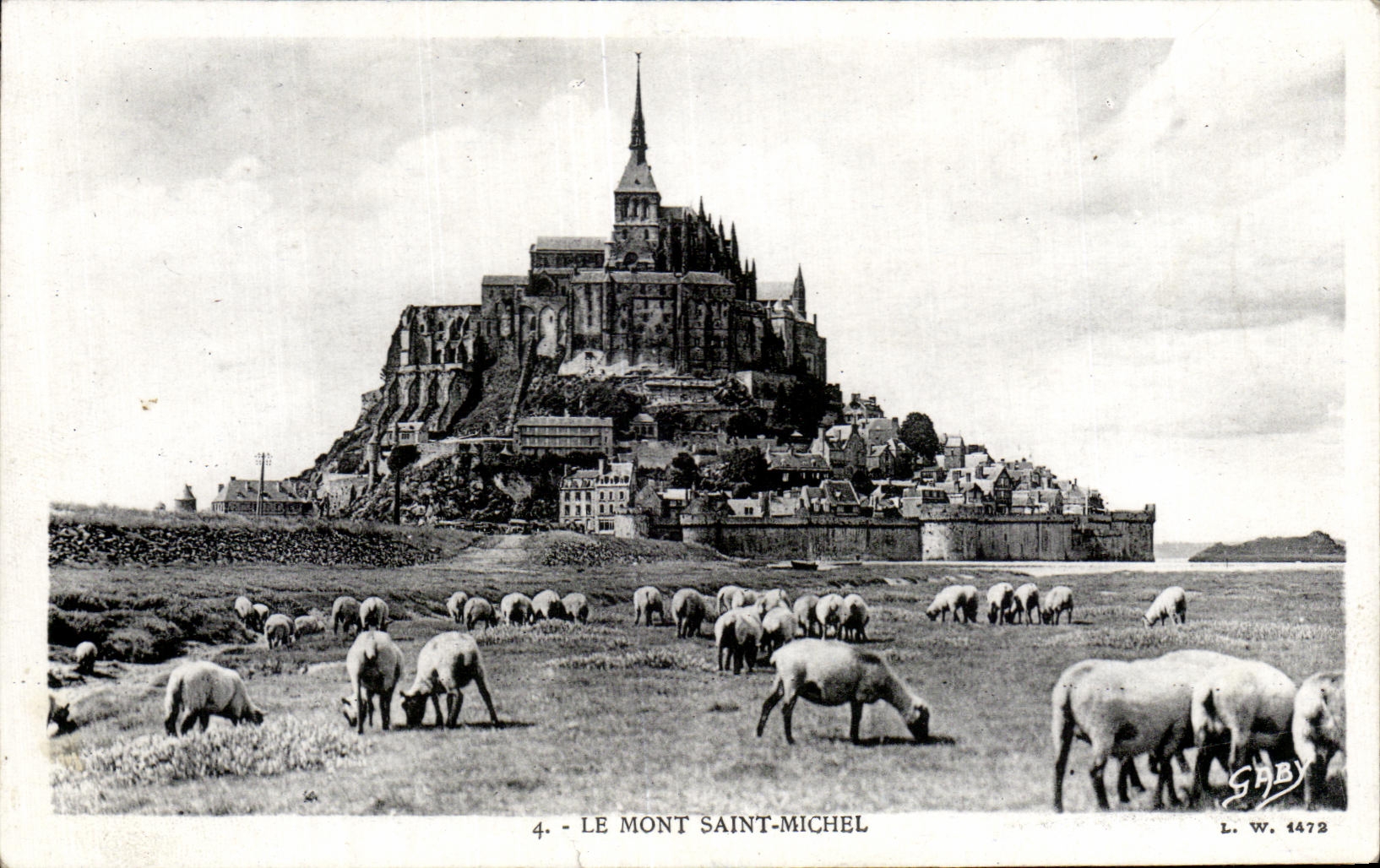 CPA Le Mont Saint Michel Moutons 