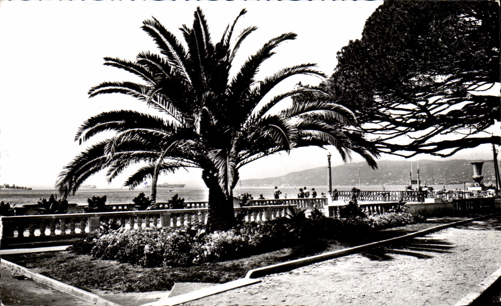 CPA Juan Les Pins Un Coin DEs Nouveaux Jardins