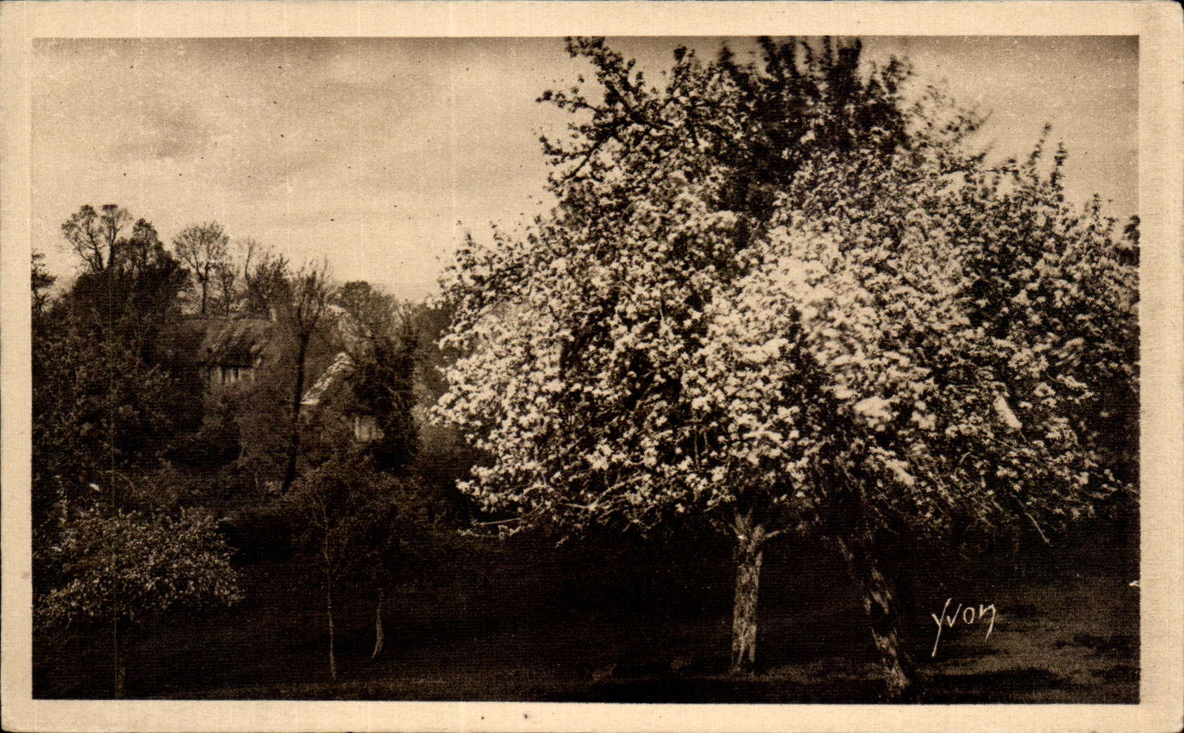 CPA Normandie Bocage Normand pres de vire