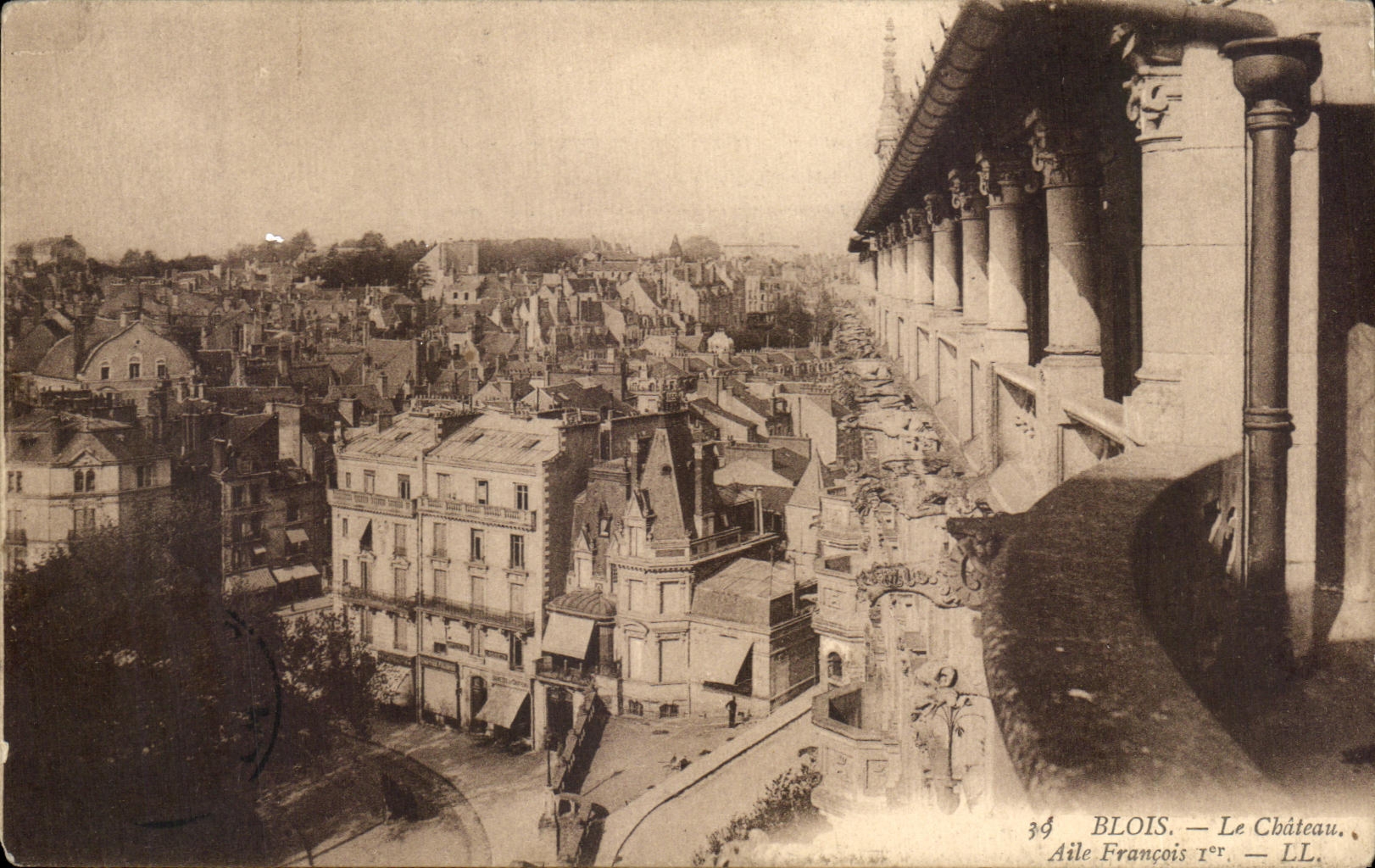 CPA Blois Le Chateau Aile Francois